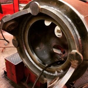 10950358 381963185320336 105873478 n